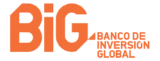 BIG logo
