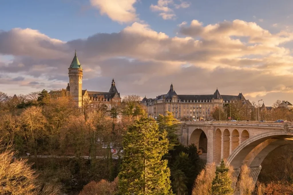 About Probus Pleion Luxembourg S.A.